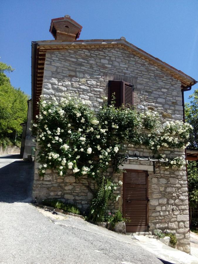 Bed & Breakfast Sentiero 54 Cantiano Exterior photo